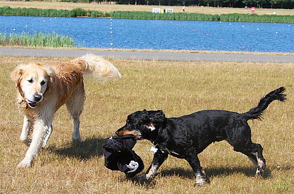 Oskar teasing Barney