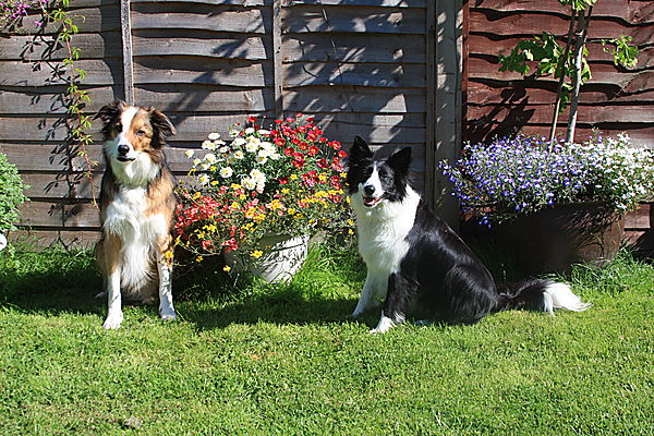 Bronte and Woody posing