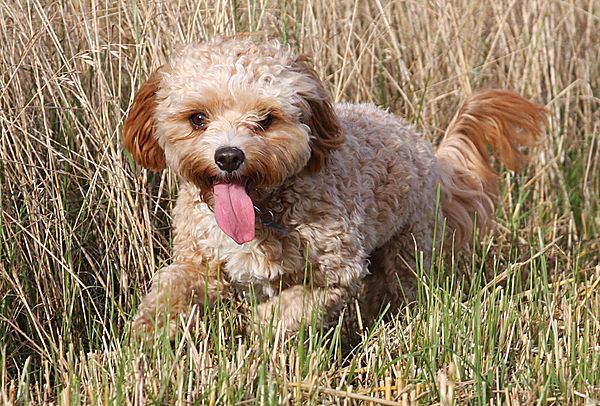 Blending in with surroundings