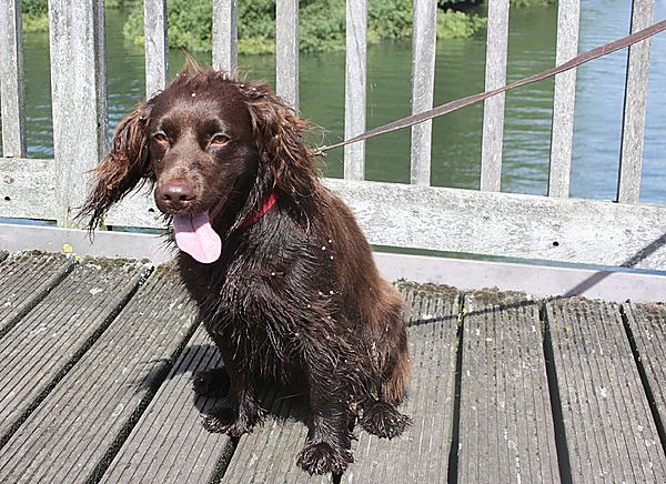 Someone needs a brush