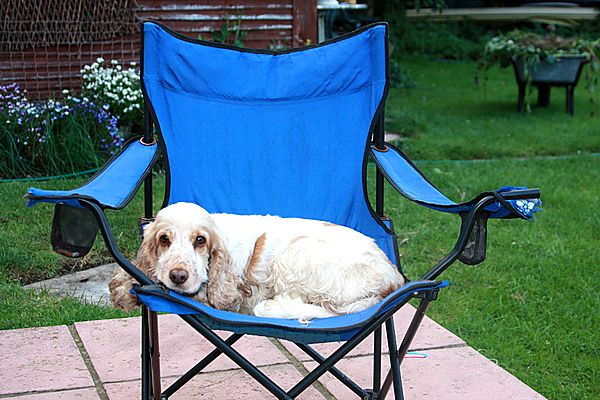 Deck chair for Missie