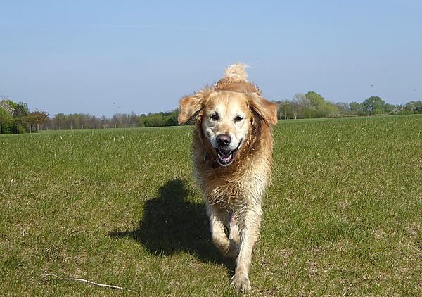 Barney always smiling