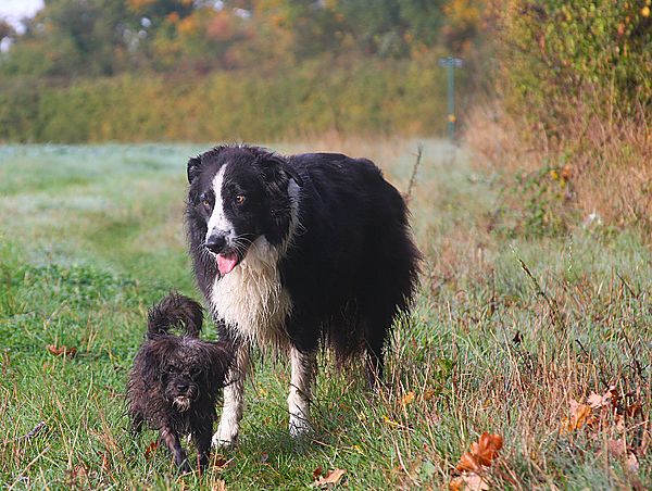 Buster and Bonnie