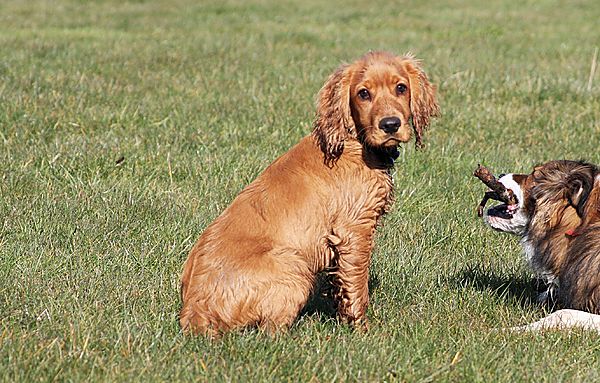 Marlowe  - he's going to be a handsome boy