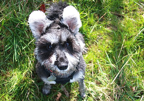 Can I have a treat now