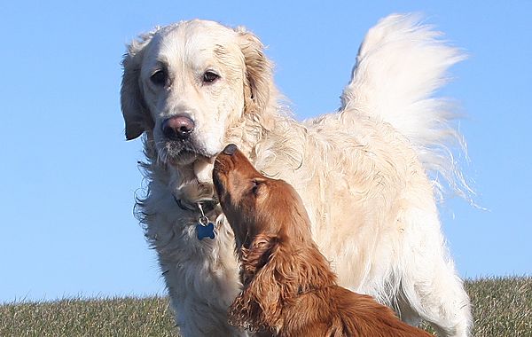 Barney gets loving look from Marlowe