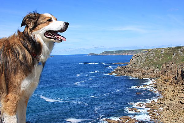 Enjoying the scenery round Lands End