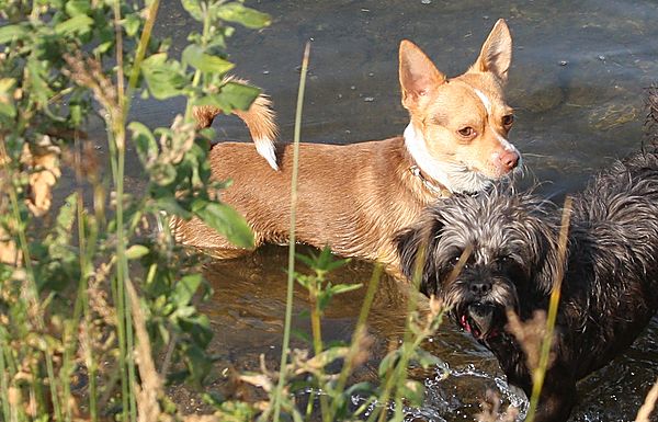 Cooling down