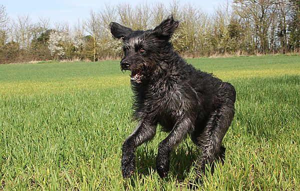 Life is such a blast