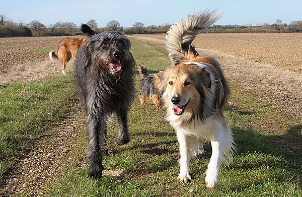 Holly with Chelsea