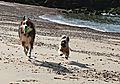 Fun on the beach