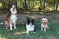 photo thumbnail Woody Bronte and Ozzie